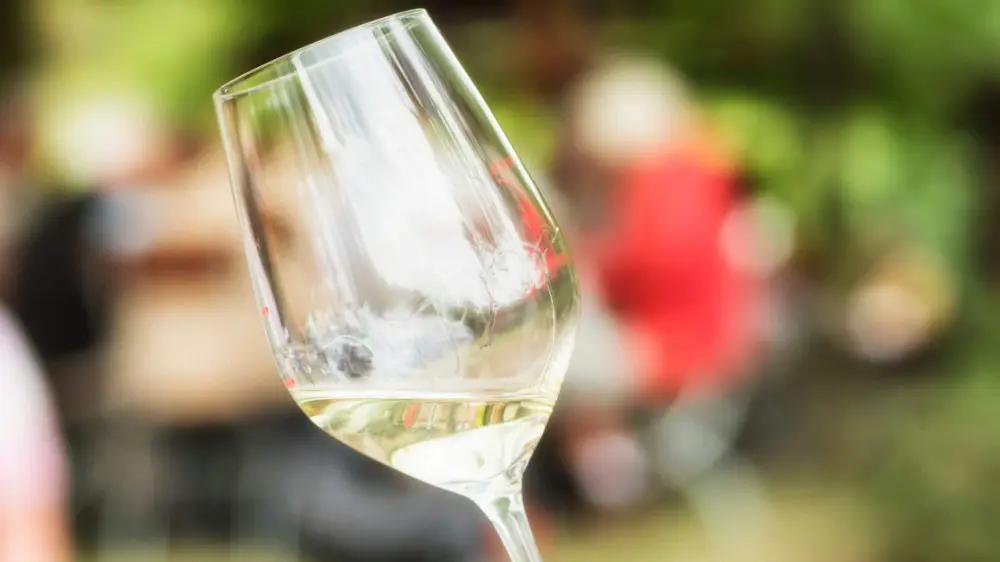 Vino alemán una de las bebidas más típicas de Alemania